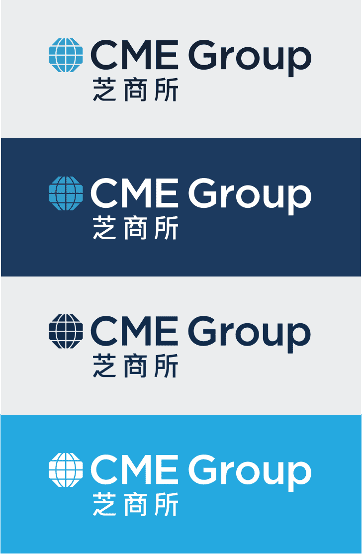 Chinese Logo Guides